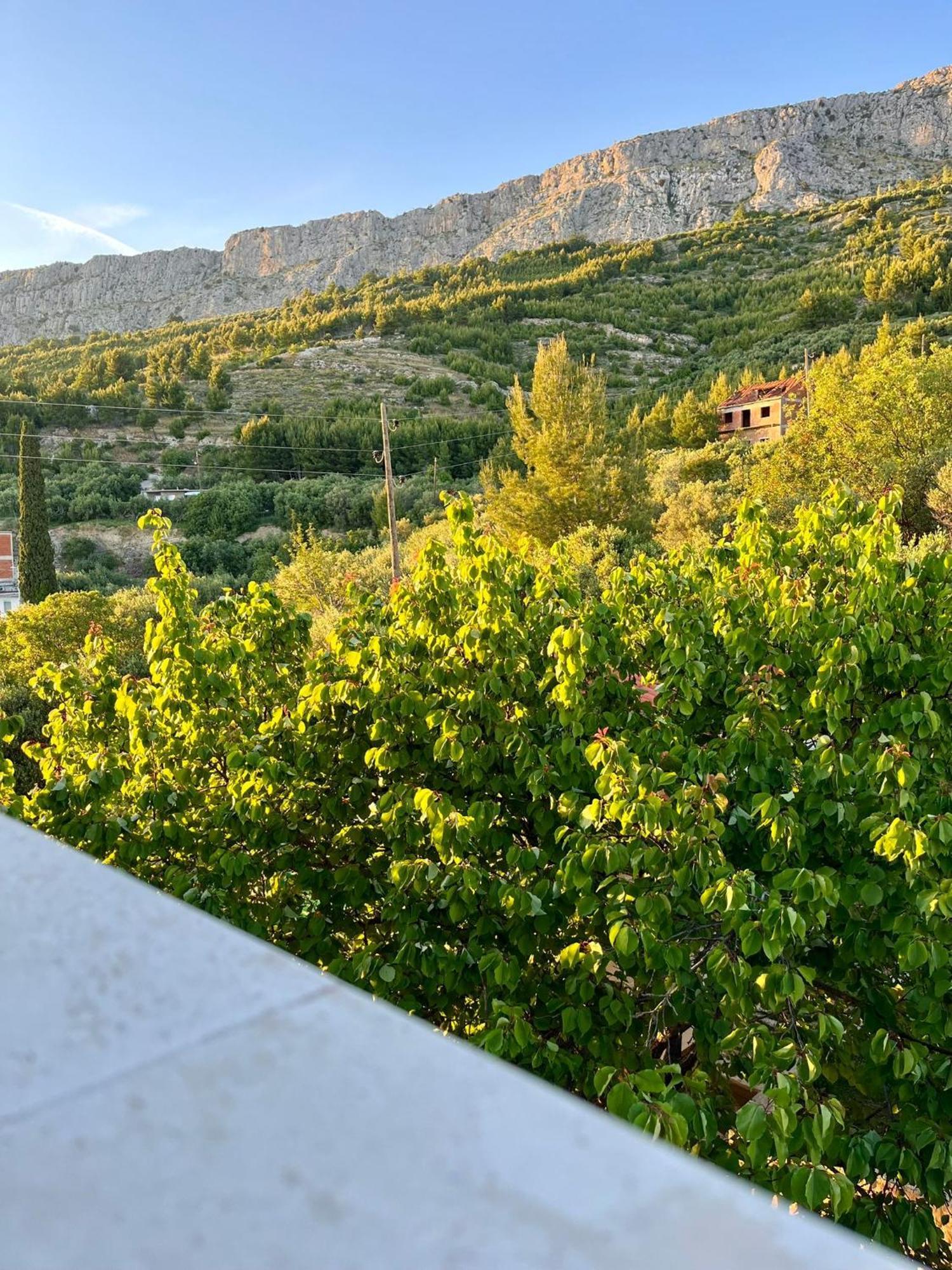 Apartments Curnic جيسينتسي المظهر الخارجي الصورة