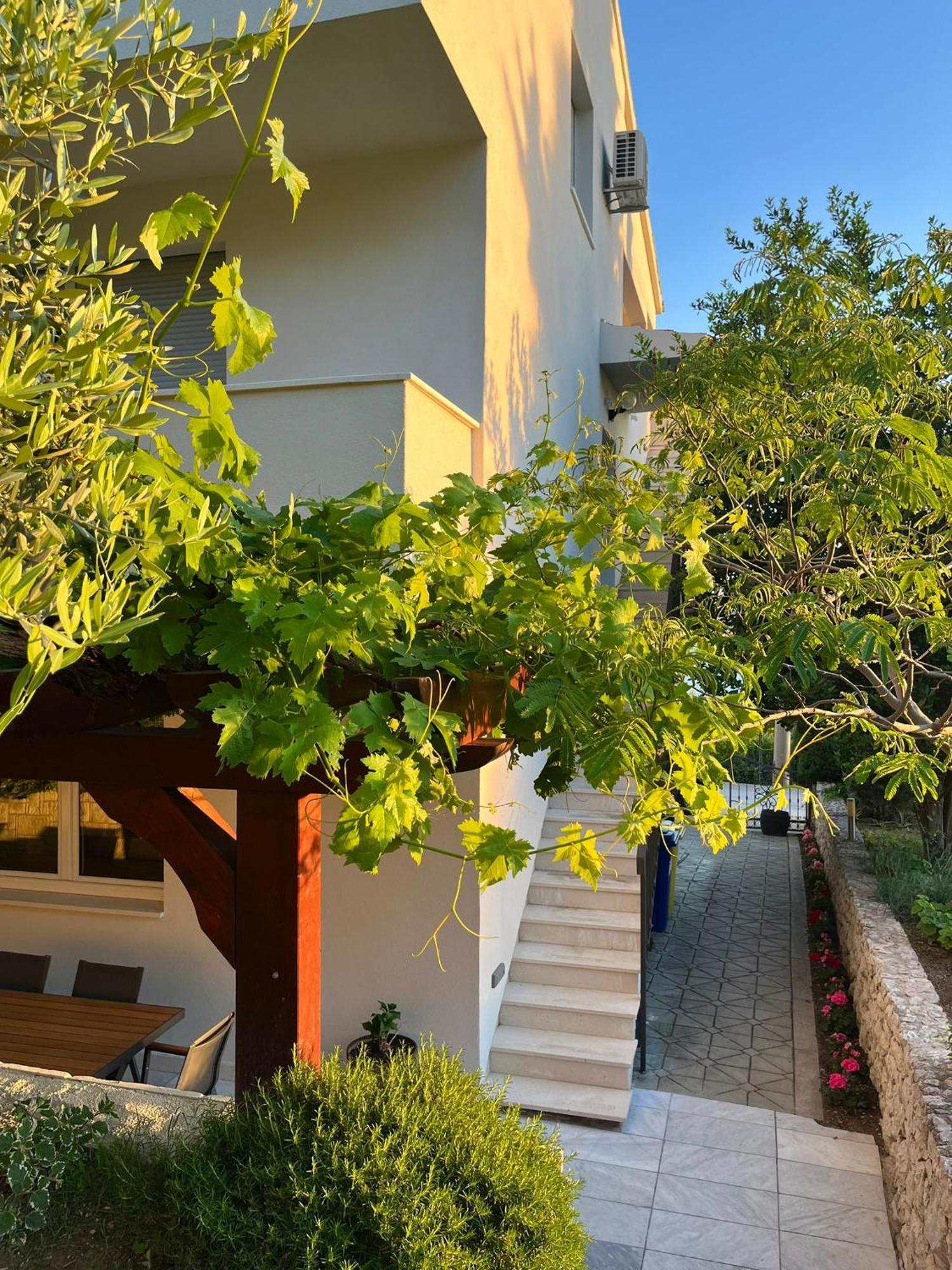 Apartments Curnic جيسينتسي المظهر الخارجي الصورة