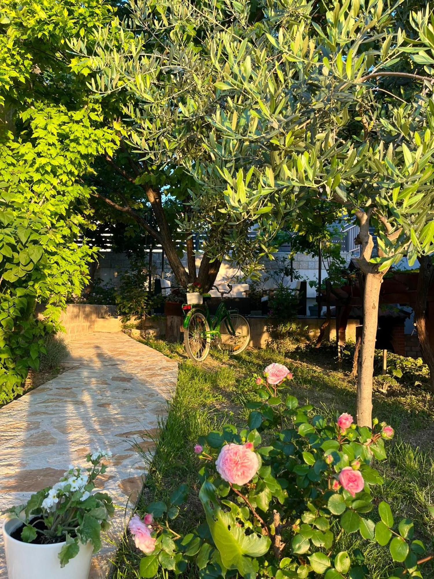 Apartments Curnic جيسينتسي المظهر الخارجي الصورة