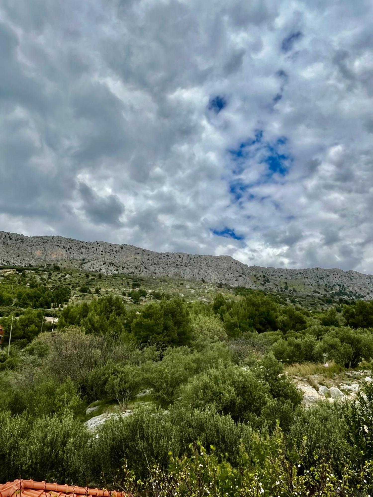Apartments Curnic جيسينتسي المظهر الخارجي الصورة